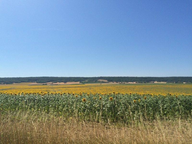 France 2015 0566