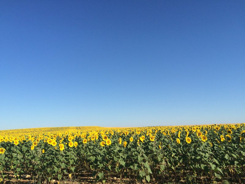 France 2015 0777