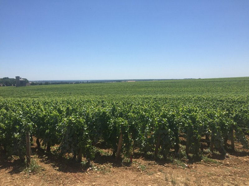France 2015 0808