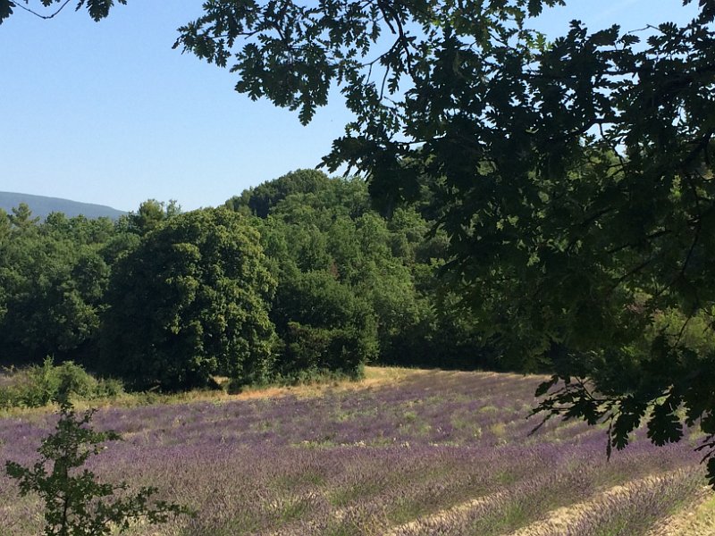 France 2015 1238