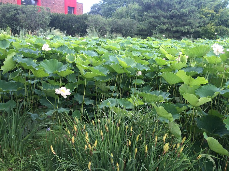 New Jersey Aug2015 0026