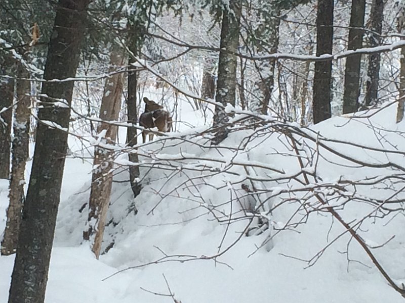 Tremblant Mar2015 0013