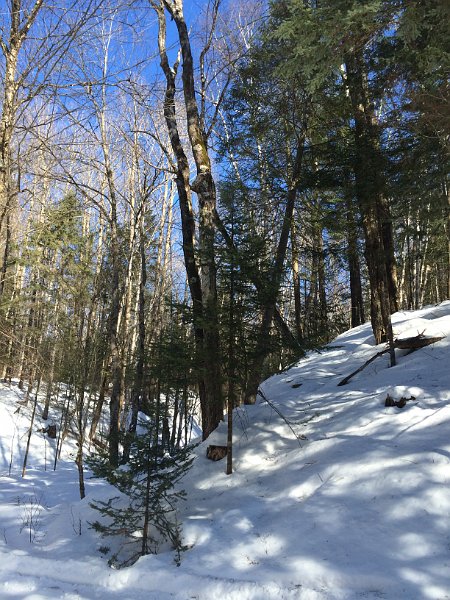 Tremblant Mar2015 0093