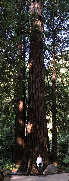California Jul2017 0092