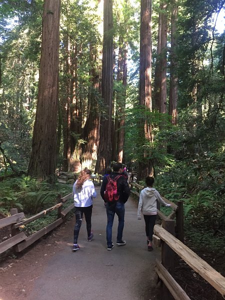 California Jul2017 0095