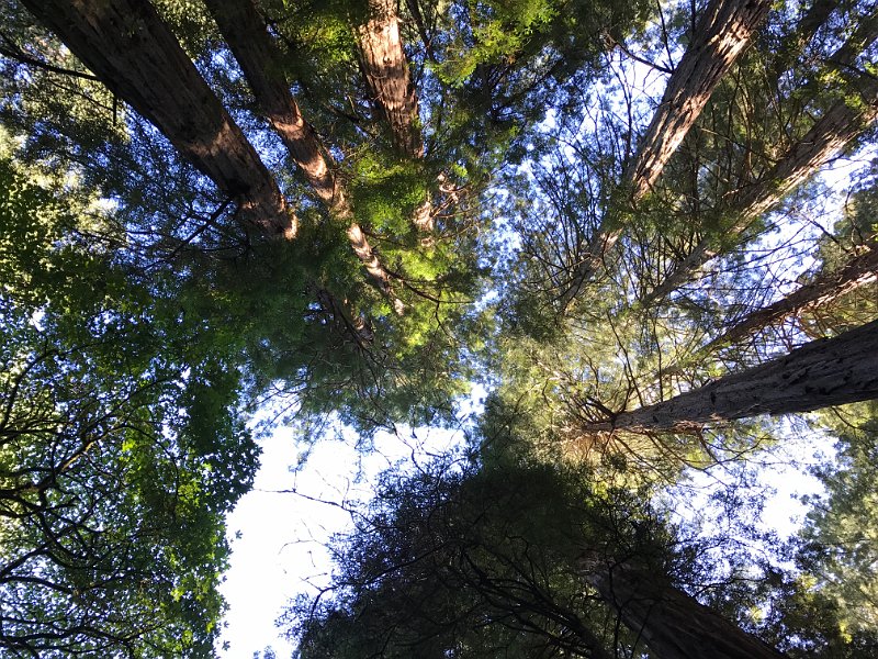 California Jul2017 0097