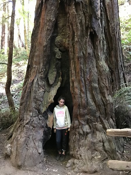 California Jul2017 0100