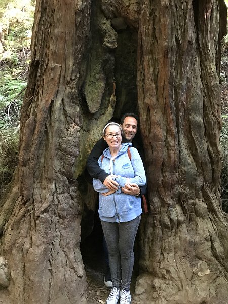 California Jul2017 0101