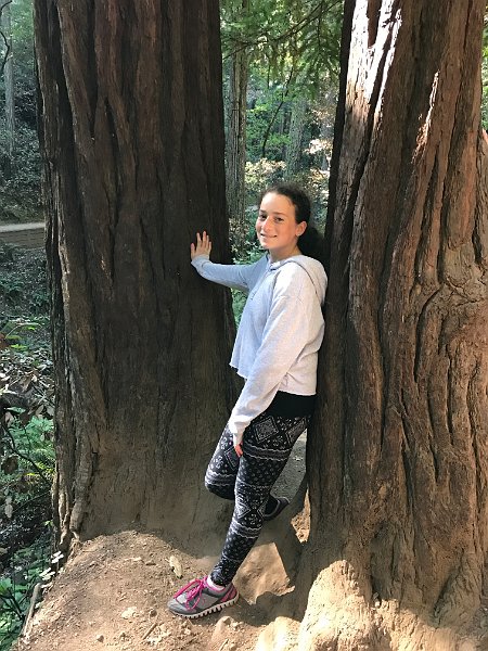 California Jul2017 0105