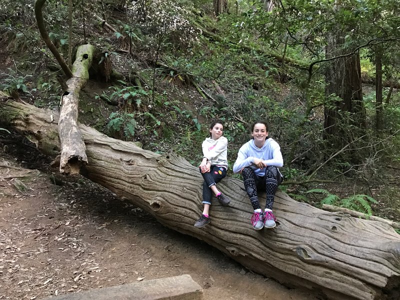 California Jul2017 0107