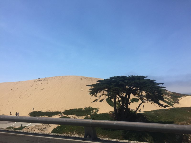 California Jul2017 0319