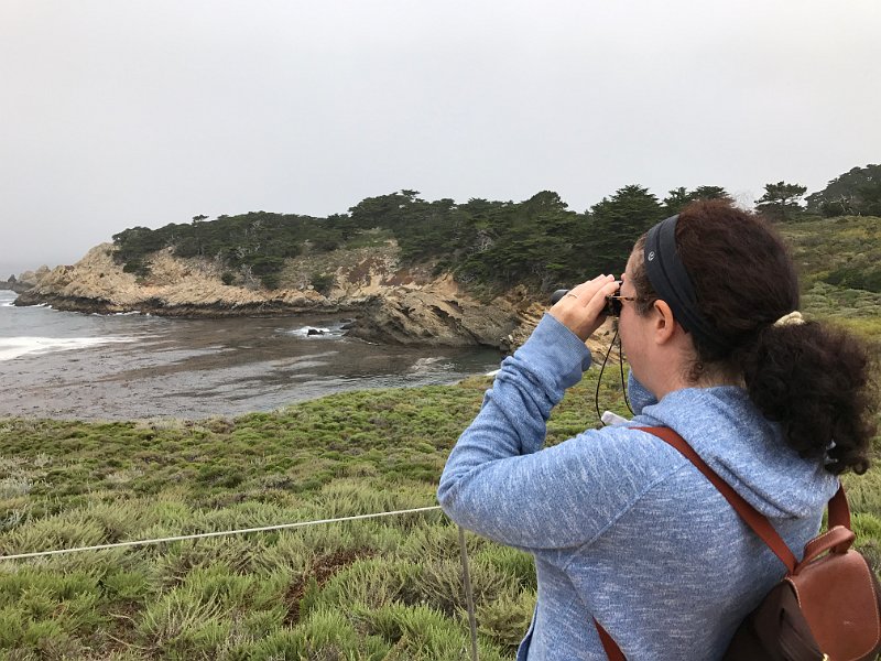 California Jul2017 0381