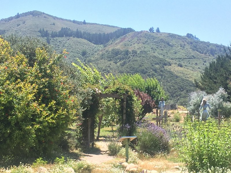 California Jul2017 0453