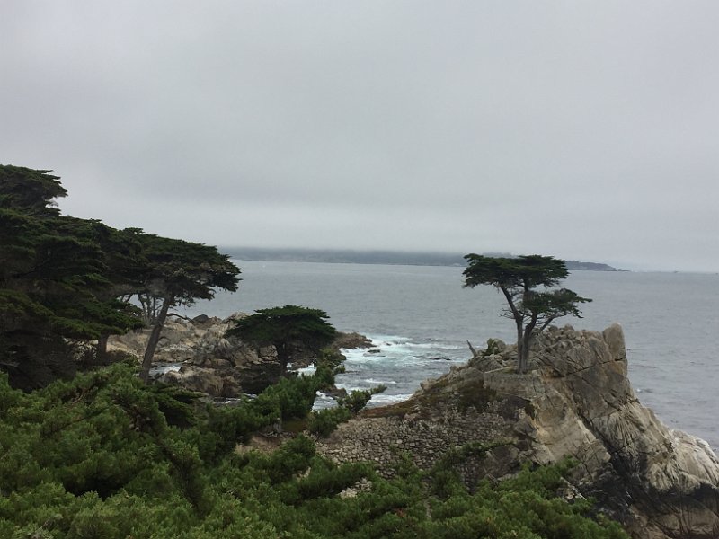 California Jul2017 0462