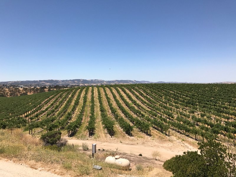 California Jul2017 0577