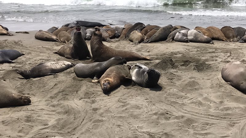 California Jul2017 0690