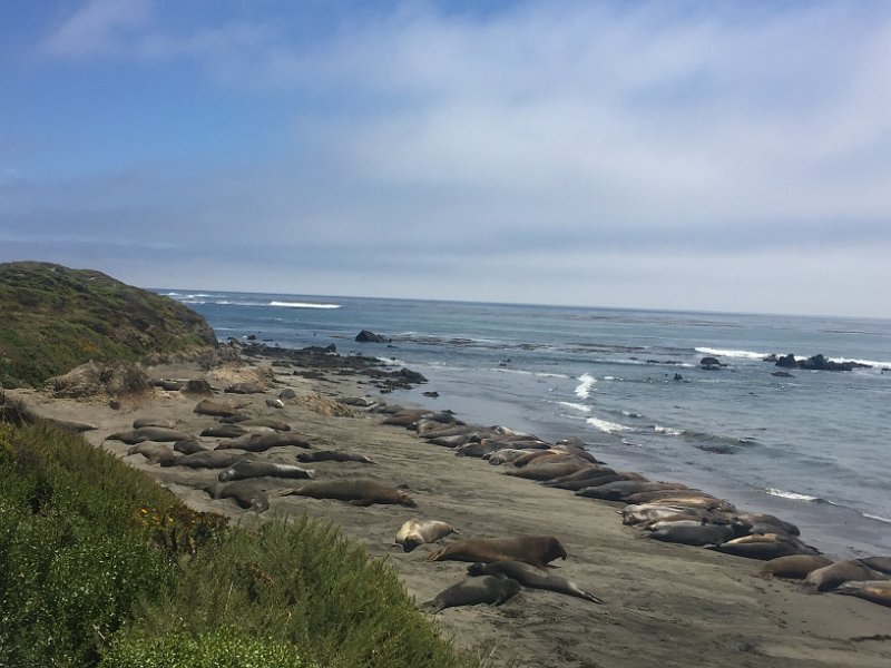 California Jul2017 0696