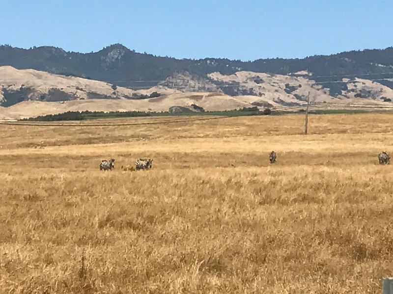 California Jul2017 0700