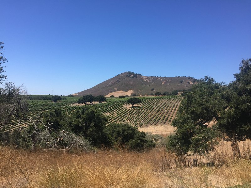 California Jul2017 0735