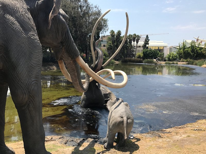 California Jul2017 0832