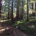 California Jul2017 0093