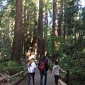 California Jul2017 0095