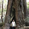 California Jul2017 0100