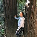 California Jul2017 0105