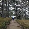 California Jul2017 0374