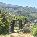 California Jul2017 0453