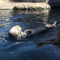 California Jul2017 0502