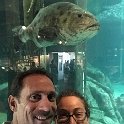 California Jul2017 0506