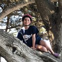 California Jul2017 0521