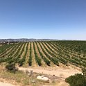 California Jul2017 0577