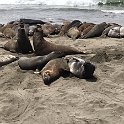 California Jul2017 0690