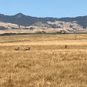 California Jul2017 0700