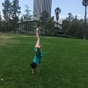 California Jul2017 0820