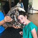 California Jul2017 0821