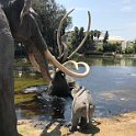 California Jul2017 0832