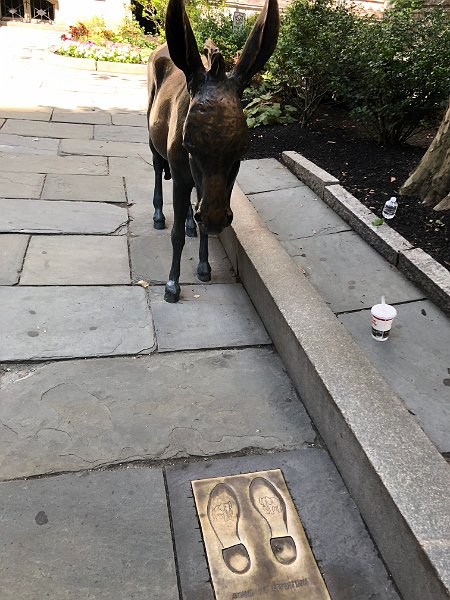 Boston July2018 0023