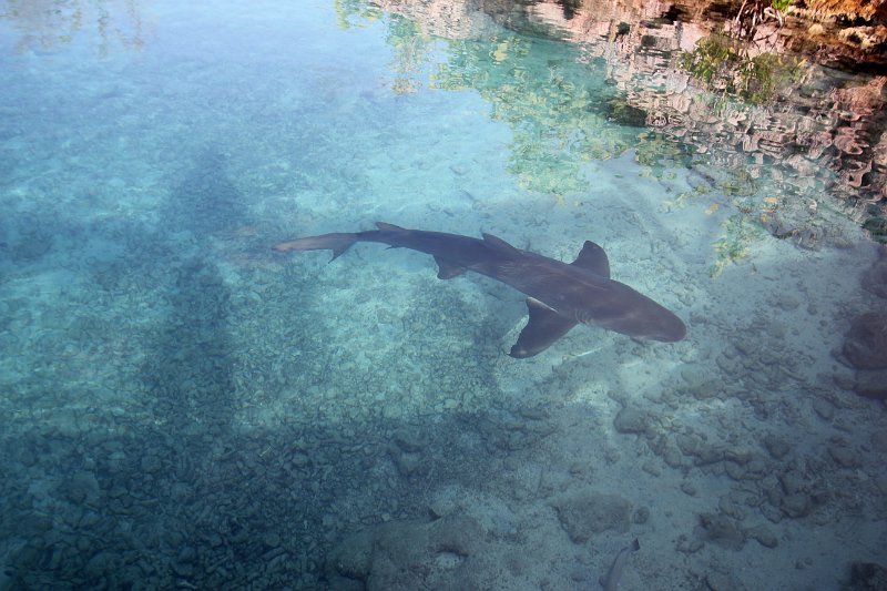 Curacao Dec2018 0037