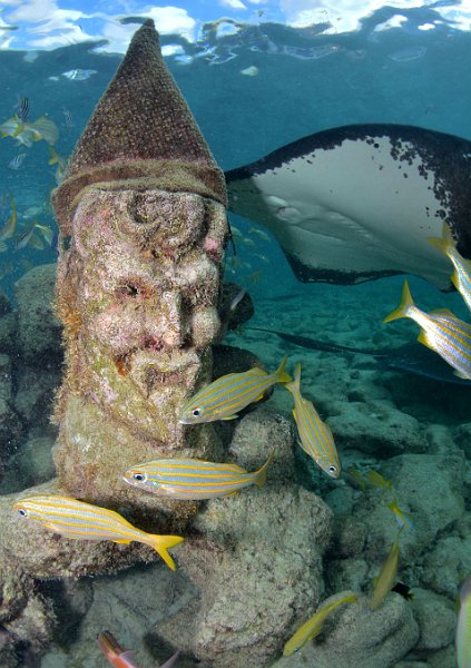 Curacao Dec2018 0041