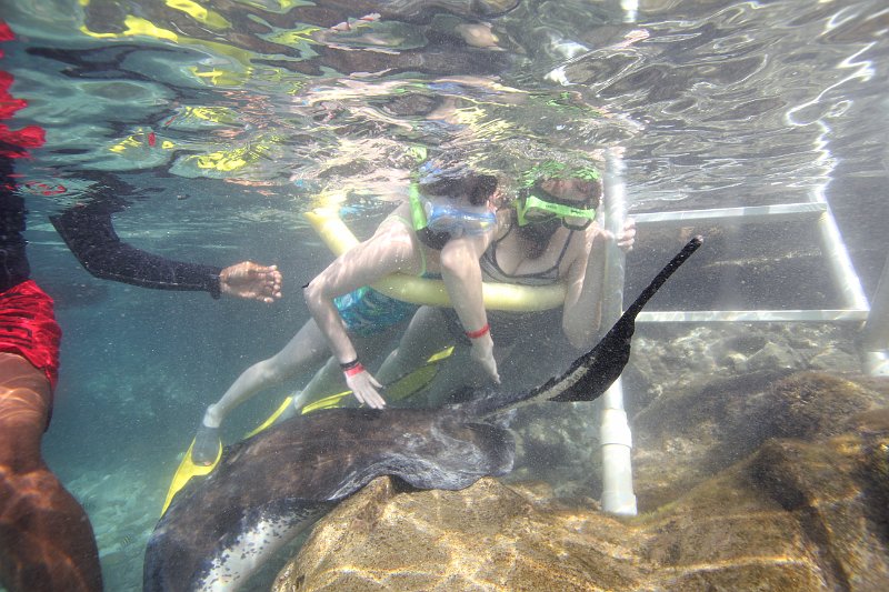 Curacao Dec2018 0048