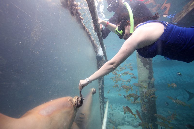 Curacao Dec2018 0059