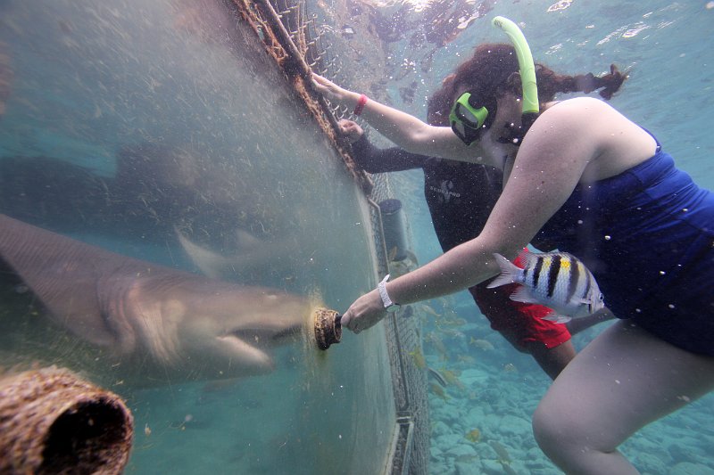 Curacao Dec2018 0066