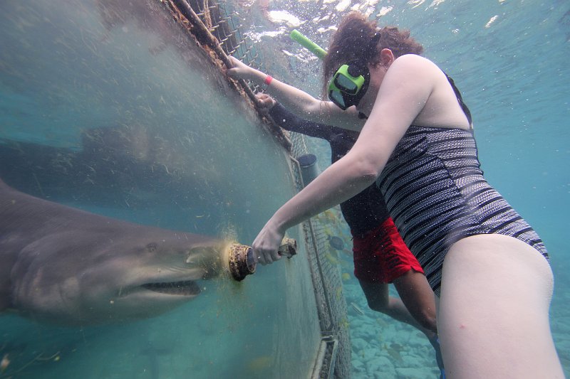 Curacao Dec2018 0069