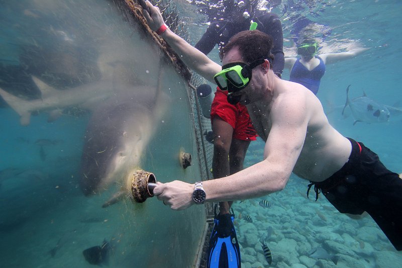 Curacao Dec2018 0080