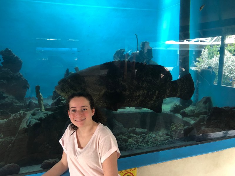 Curacao Dec2018 0084