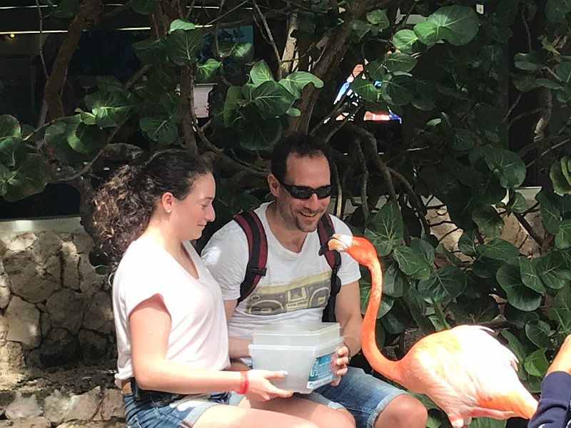 Curacao Dec2018 0095