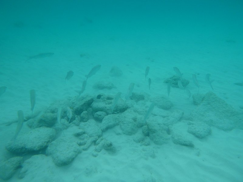 Curacao Dec2018 0292